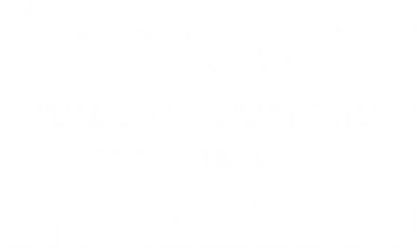 Éco-Art